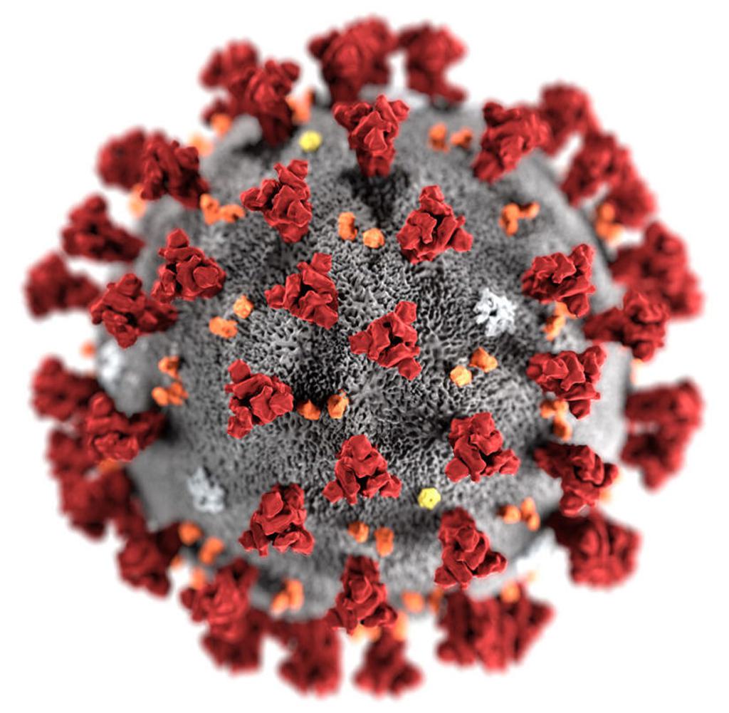 Coronavirus Pandemic Halts Executions, Perhaps for the Foreseeable Future