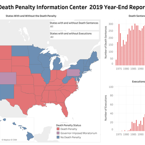 The Death Penalty in 2019: Year End Report