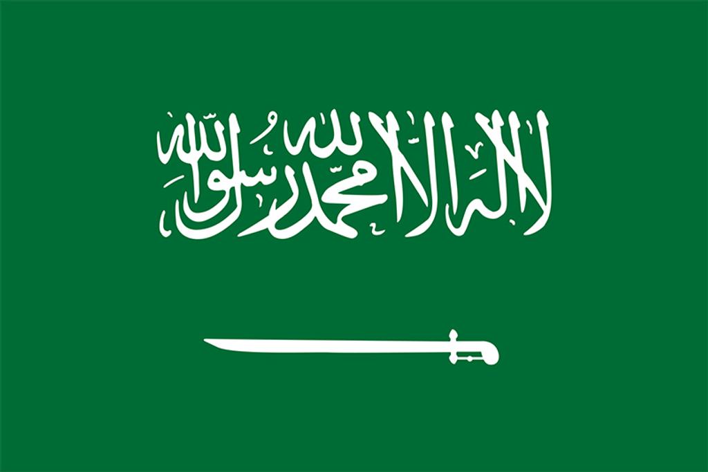 Saudi Arabian Mass Execution of 81 People Draws Condemnation from U.N. High Commissioner, Rights Activists
