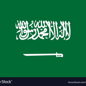 Human Rights Organizations: Saudi Arabia's Claims to Have Banned the Death Penalty for Juveniles are Belied by the Kingdom’s Actual Practices